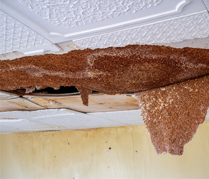 a water damaged ceiling with drooping and broken ceiling panels